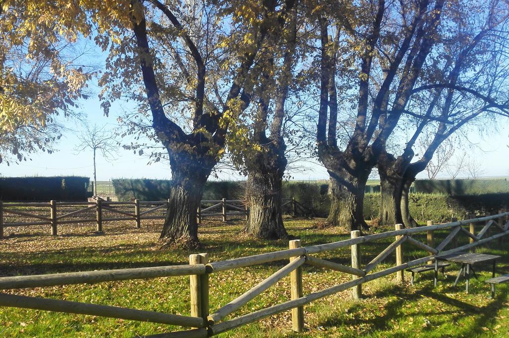 Hotel Rural Gran Maestre Cabeza del Buey Eksteriør billede